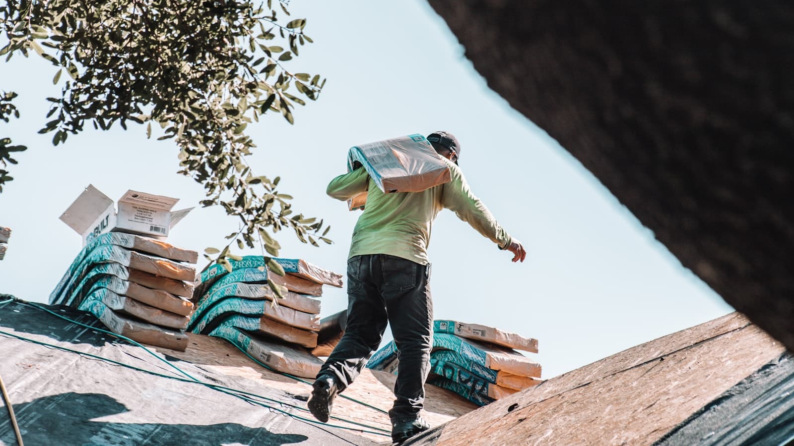 A roofer carrying a bundle of shingles up a felted roof deck.